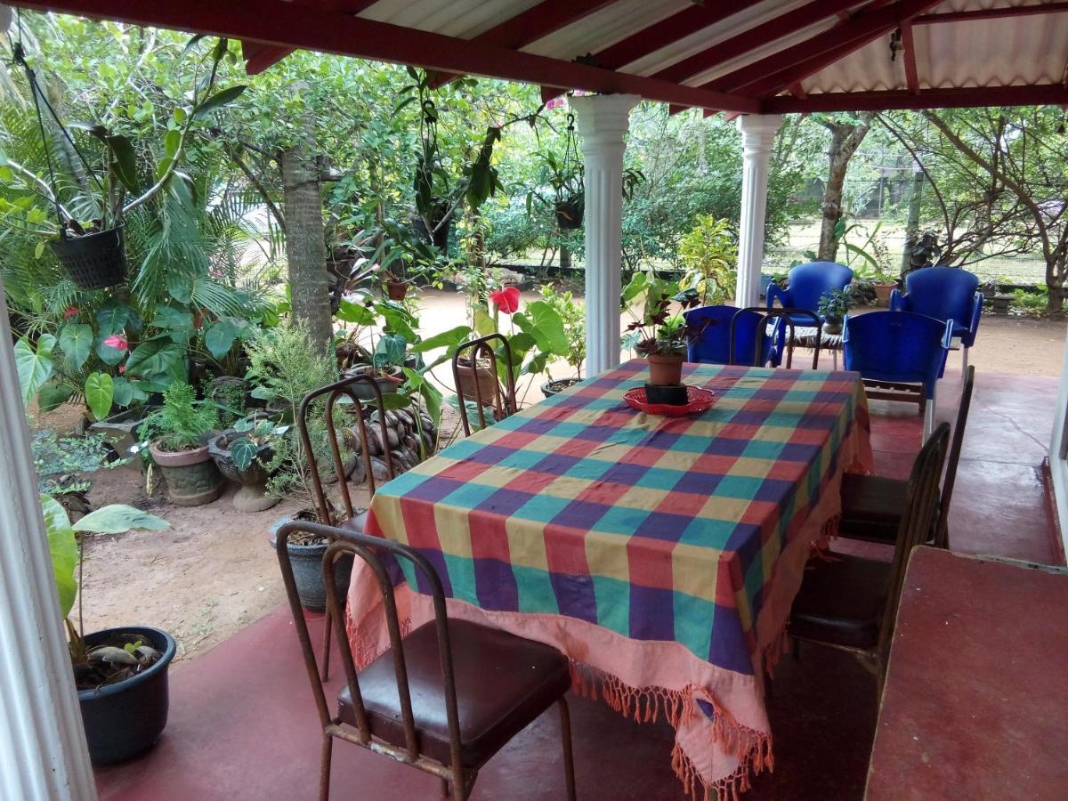 Lake House Homestay Anuradhapura Ngoại thất bức ảnh