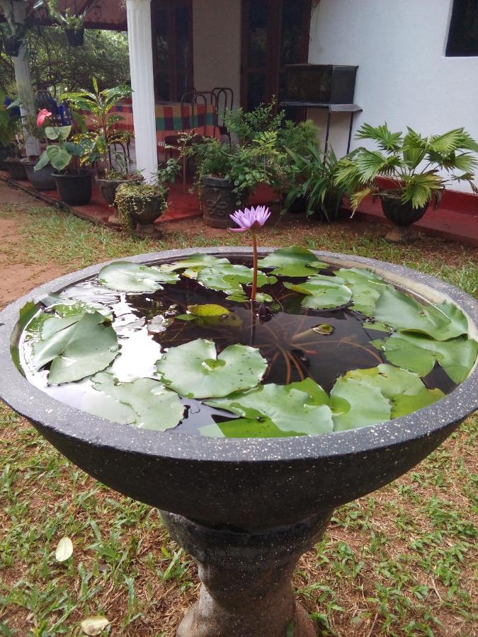 Lake House Homestay Anuradhapura Ngoại thất bức ảnh